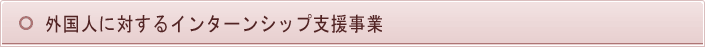 留学生以外の人材（韓国大学の在校生・卒業生）のご紹介